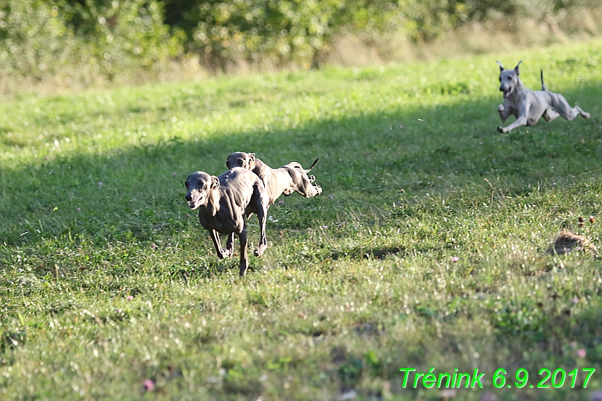 Trénink 6.9.2017 (12)