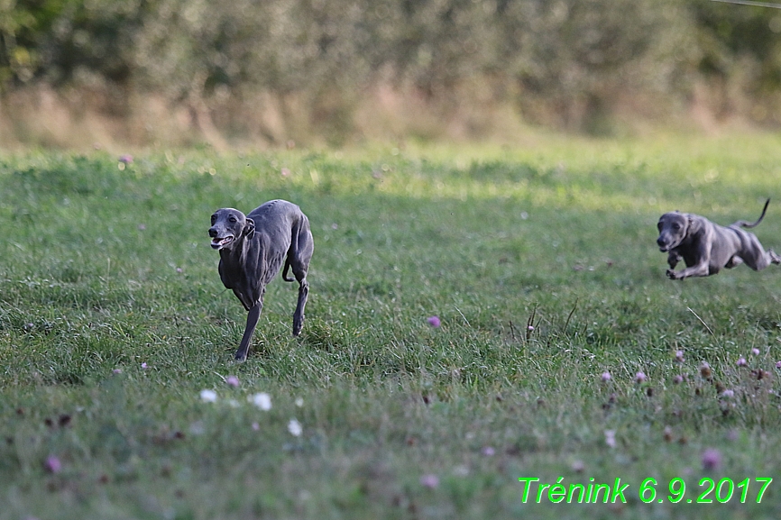 Trénink 6.9.2017 (24)