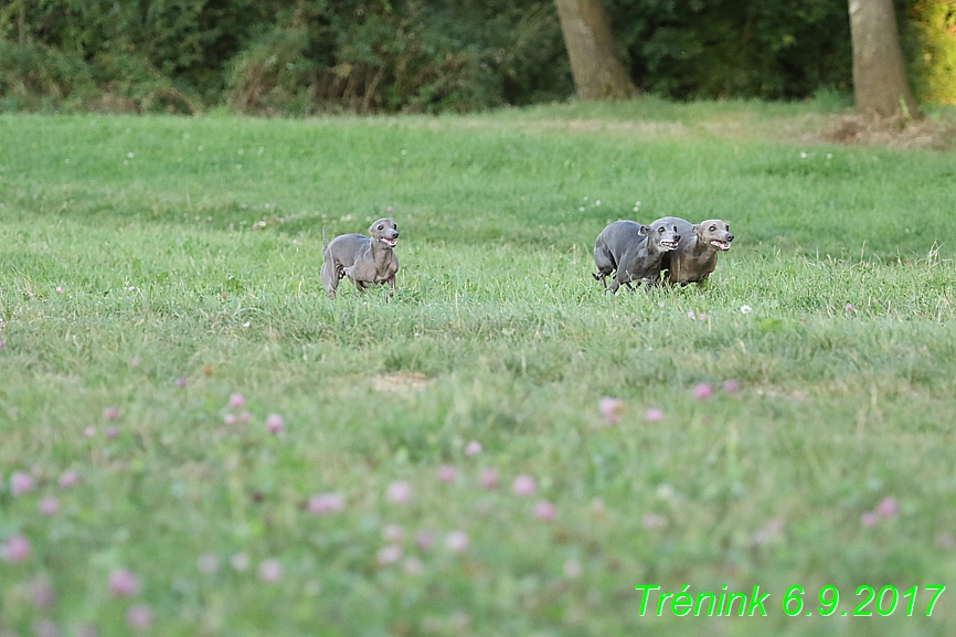 Trénink 6.9.2017 (25)