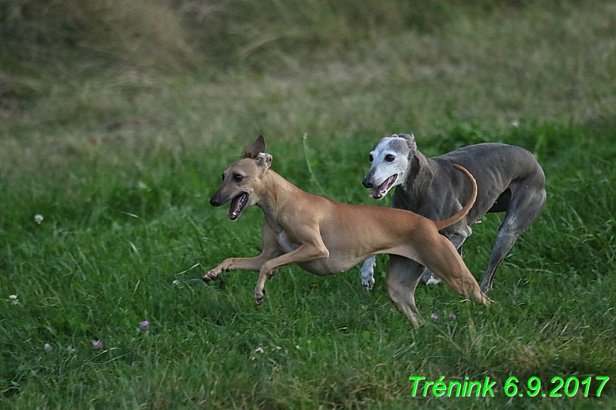 Trénink 6.9.2017 (76)