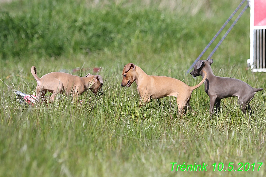 Náš trénink 10.5.2017 (61)