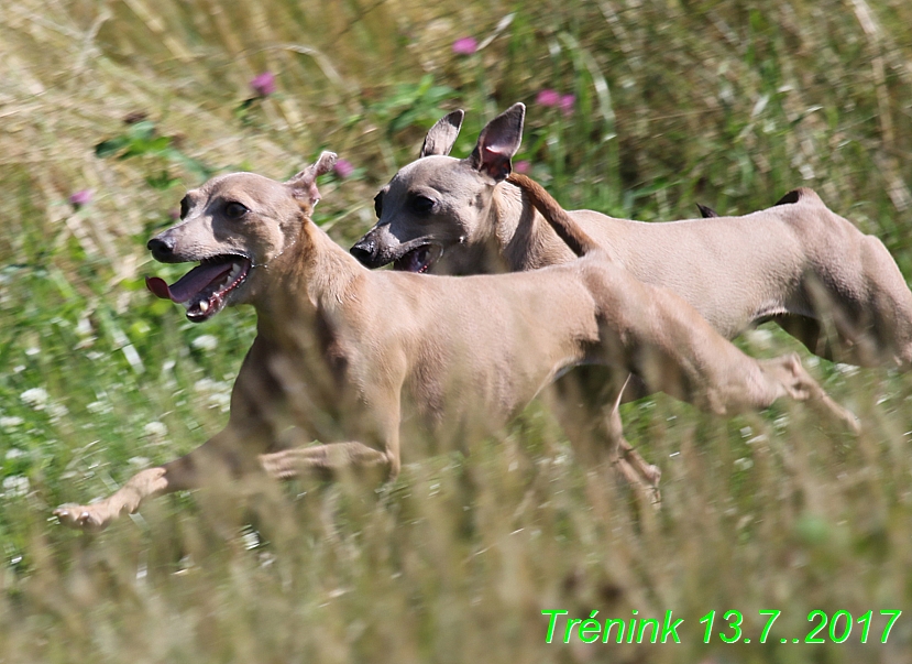 Náš trénink 13.7.2017 (23)