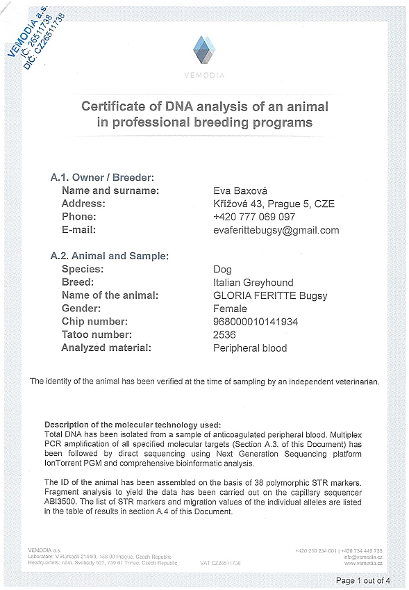 Gloria Feritte Bugsy DNA certifikat EN