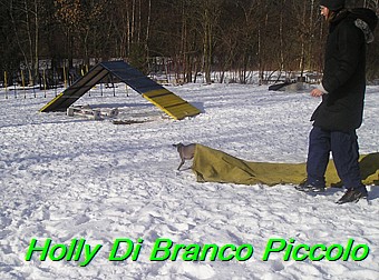 Holly Di Branco Piccolo 001 (25)