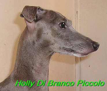 Holly Di Branco Piccolo 001 (29)