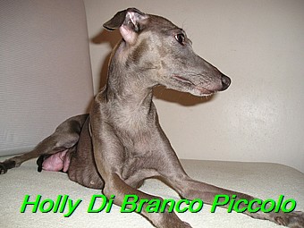 Holly Di Branco Piccolo 001 (51)