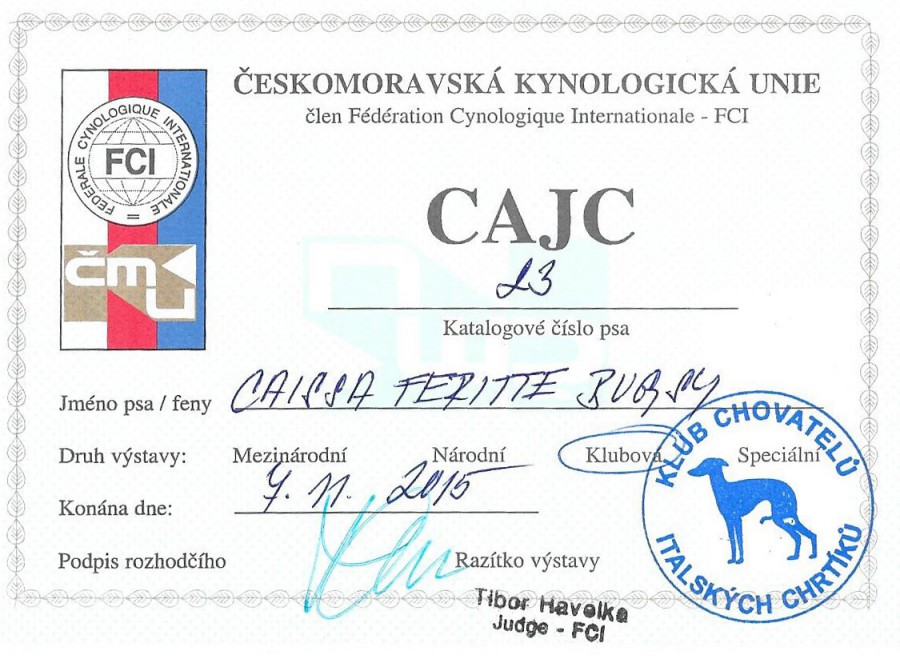 italsky-chrtik-caissa-cajc-2-x-klub-2015-.jpg