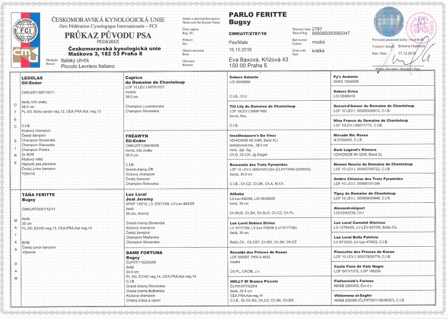 parlo-feritte-bugsy-pedigree.jpg