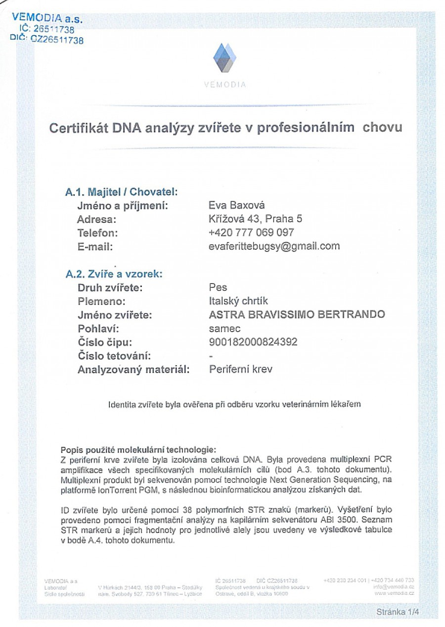 astra-bravissimo-bertrando-dna-certifikat-cz.jpg