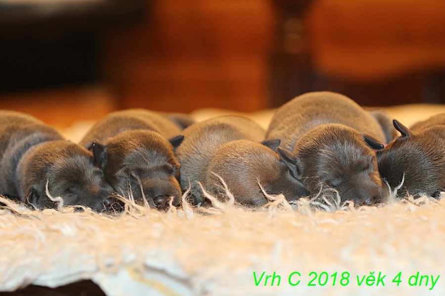vrh-c-2018-vek-4-dny--48-.jpg