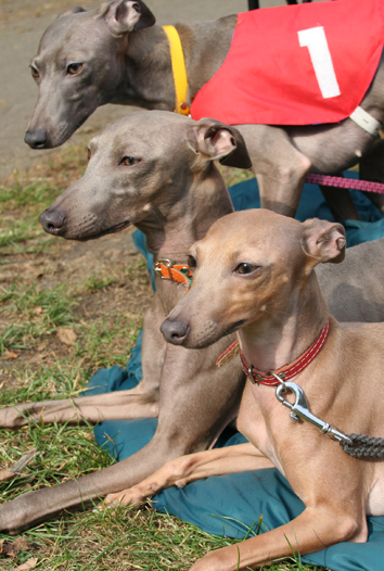 Leon, Lolly and Liliana