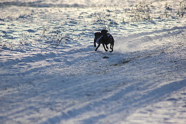 Naš trénink 22.1.2016 (879)