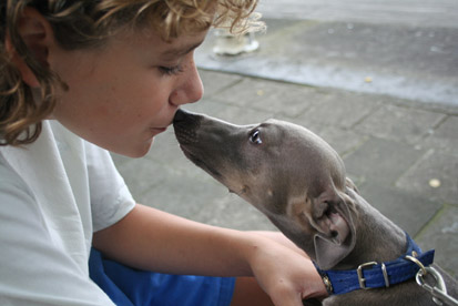 Lukas and Leon Feritte Bugsy