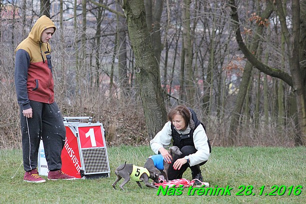 Náš trénink 28.1.2016 (7)