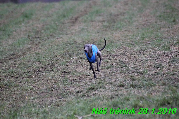 Náš trénink 28.1.2016 (21)