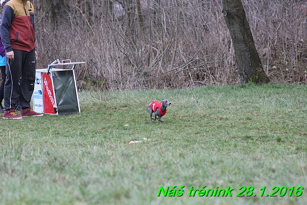 Náš trénink 28.1.2016 (24)