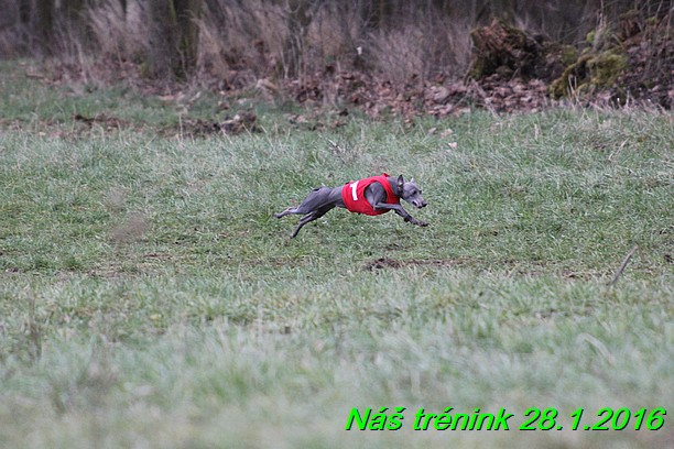 Náš trénink 28.1.2016 (25)