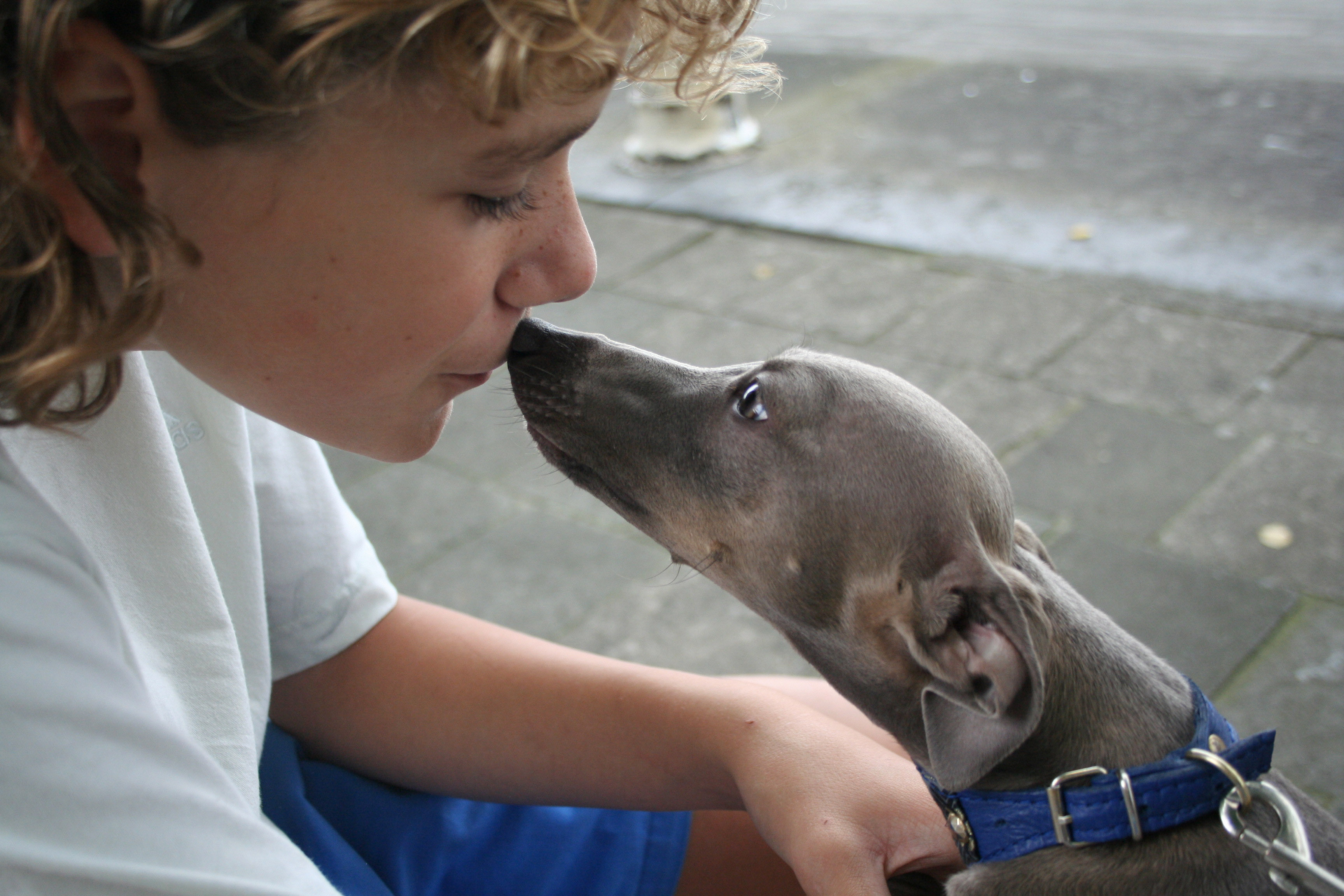 Lukas, Leon Feritte Bugsy 28.8. 2008 Antwerpen,Belgium