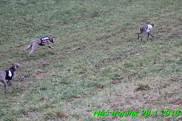 Náš trénink 28.1.2016 (34)