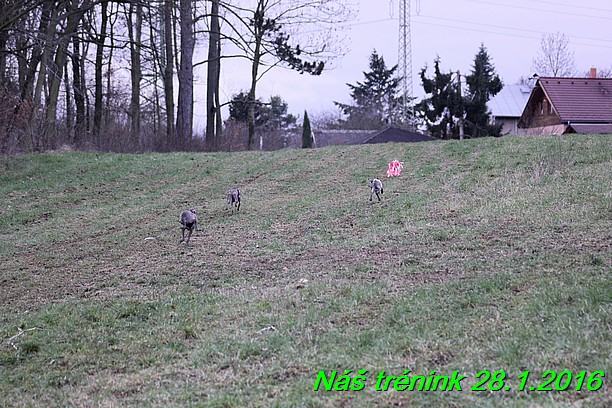 Náš trénink 28.1.2016 (36)