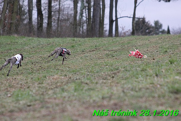 Náš trénink 28.1.2016 (57)