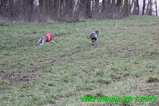 Náš trénink 28.1.2016 (63)