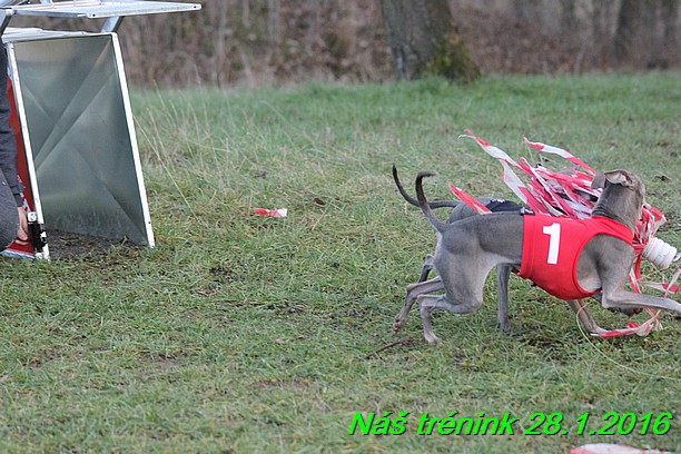 Náš trénink 28.1.2016 (68)