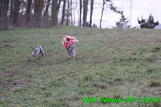 Náš trénink 28.1.2016 (74)