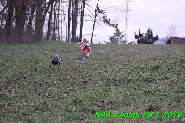 Náš trénink 28.1.2016 (75)