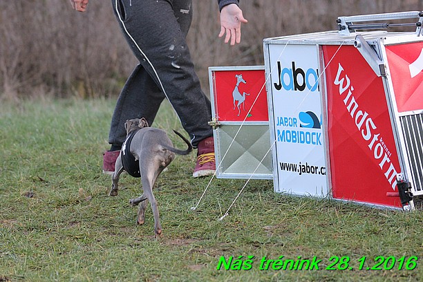 Náš trénink 28.1.2016 (78)