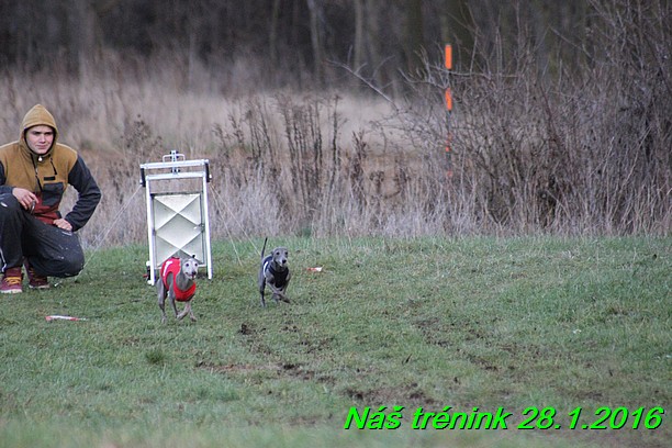 Náš trénink 28.1.2016 (81)