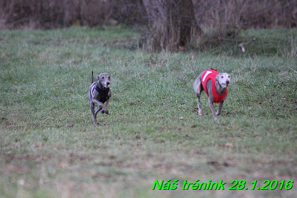 Náš trénink 28.1.2016 (86)