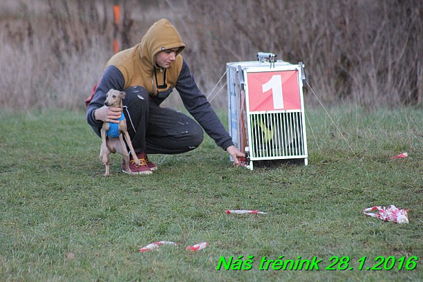 Náš trénink 28.1.2016 (89)