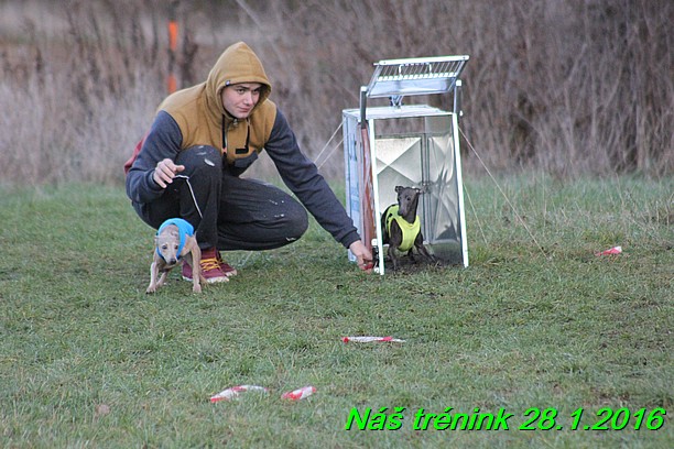 Náš trénink 28.1.2016 (90)