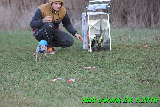 Náš trénink 28.1.2016 (91)