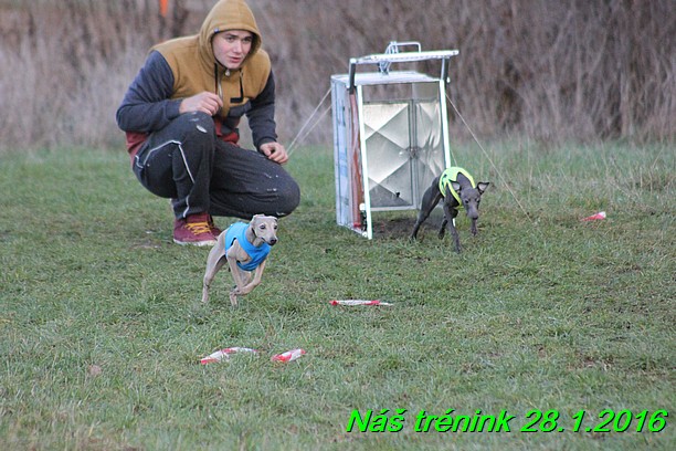 Náš trénink 28.1.2016 (92)