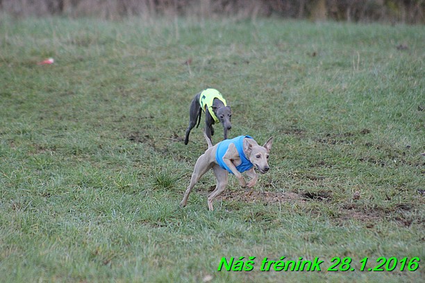 Náš trénink 28.1.2016 (95)