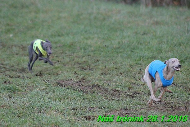 Náš trénink 28.1.2016 (97)