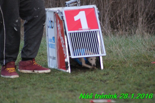 Náš trénink 28.1.2016 (105)