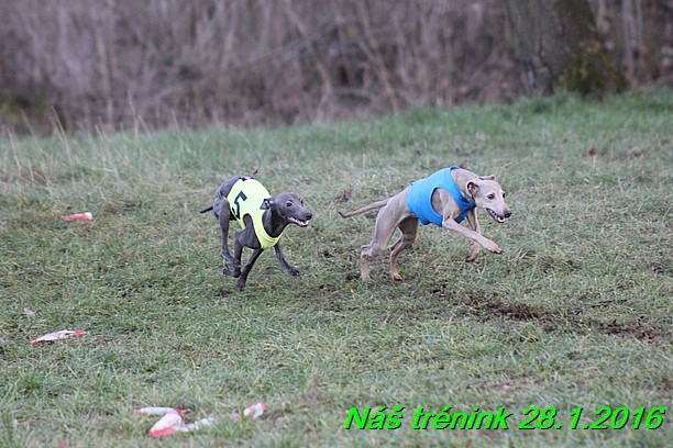 Náš trénink 28.1.2016 (106)