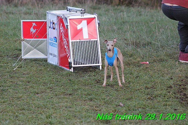 Náš trénink 28.1.2016 (111)