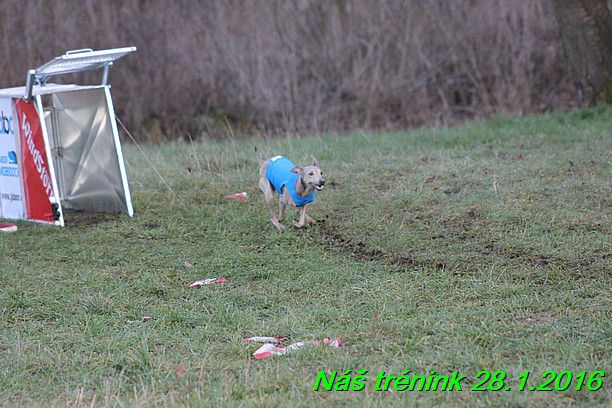 Náš trénink 28.1.2016 (117)