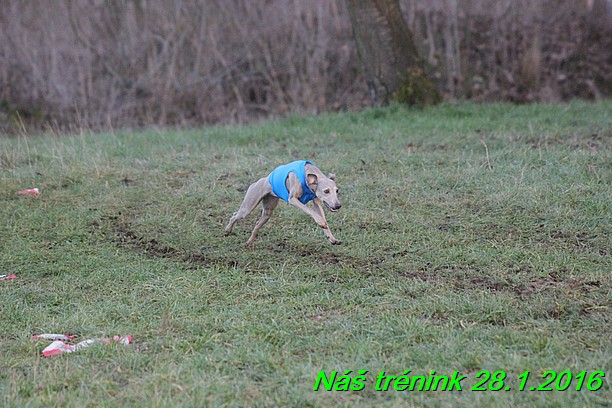 Náš trénink 28.1.2016 (118)