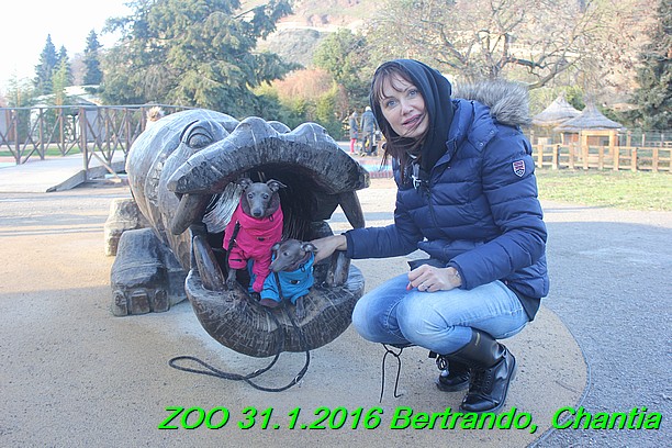 ZOO 31.1.2016 Bertrando a Chantia (23)