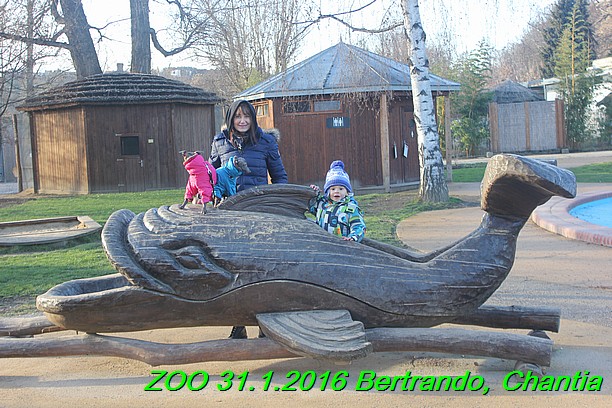 ZOO 31.1.2016 Bertrando a Chantia (25)