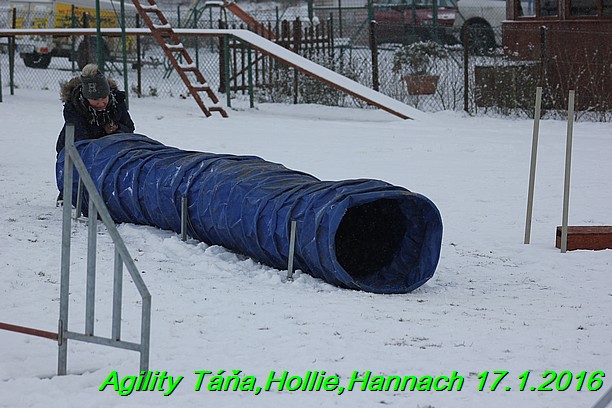 Agility Tana, Hollie,Hannach 17.1.2016 (151)