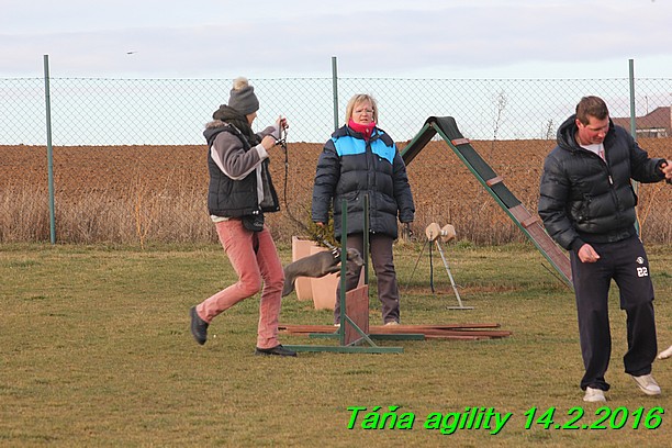 Agility Tana 14.2.2016 (2)