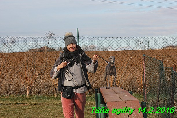 Agility Tana 14.2.2016 (8)