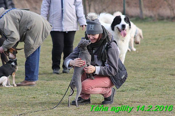 Agility Tana 14.2.2016 (19)