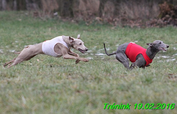 Nas trenink 19.2.2016 (114)